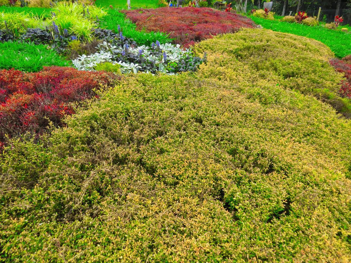 Cabanas Y Flores Jericoc  Exteriér fotografie